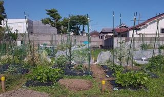 シェア畑 体験農園 教室 3