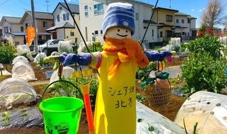 シェア畑シェア畑 市川北方 教室画像5