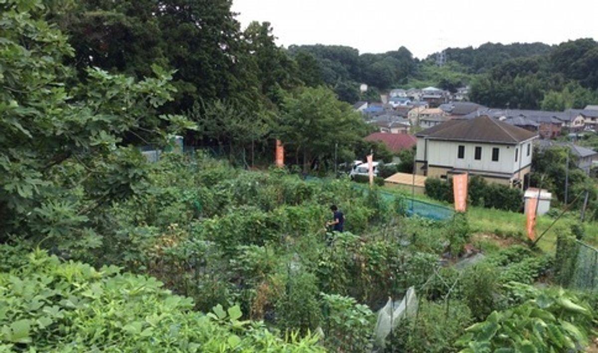 シェア畑 戸塚名瀬3