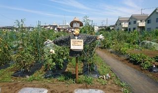 シェア畑 教室 4