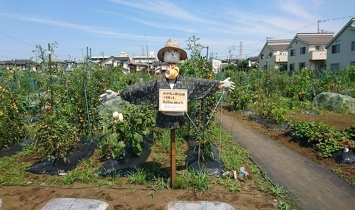 シェア畑 新横浜5