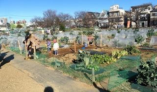 シェア畑 さいたま与野12