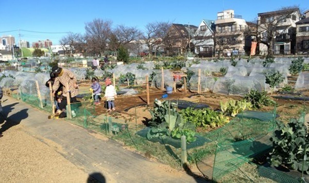 シェア畑 さいたま与野12