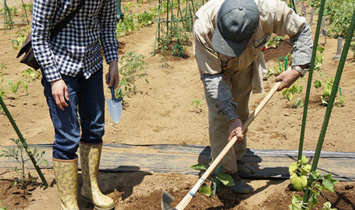 シェア畑 横浜高田2