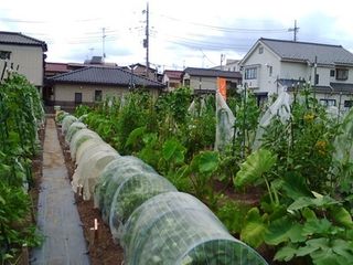 シェア畑 浦和4