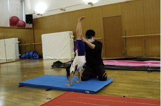 京都テルサフィットネスクラブ こども体操スクール2