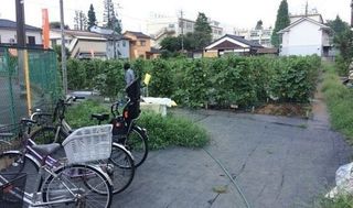 シェア畑 練馬桜台7