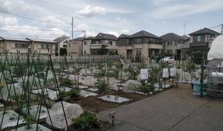 シェア畑 教室 1