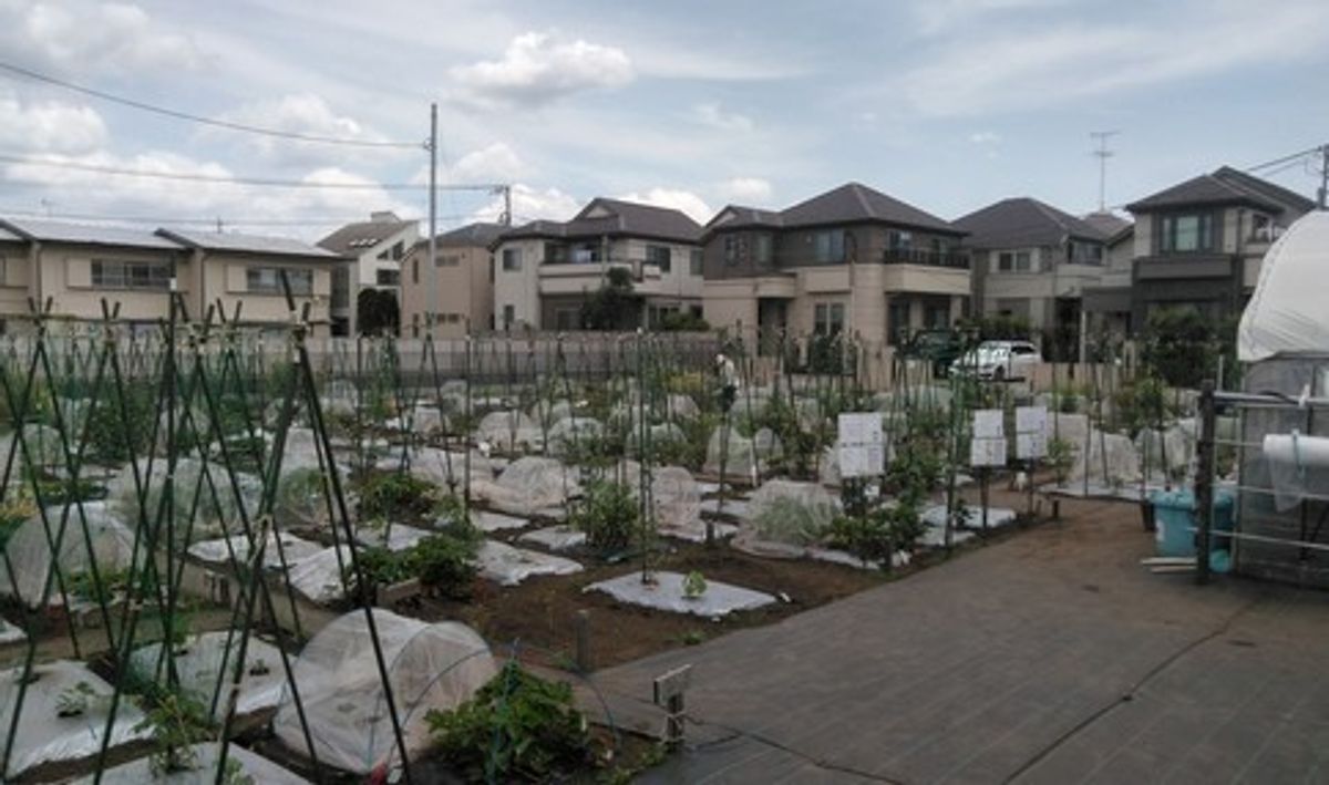 シェア畑 教室 1