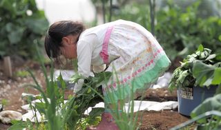 シェア畑 麻生5