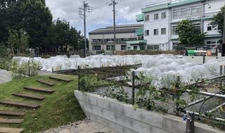 シェア畑 教室 2