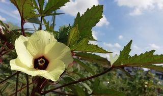 シェア畑 教室 3