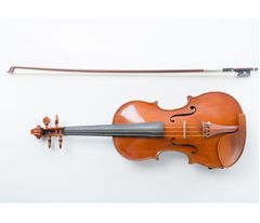 スガナミ楽器バイオリン教室 スガナミミュージックサロン多摩の紹介