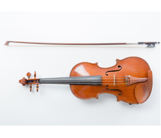 スガナミ楽器バイオリン教室スガナミミュージックサロン多摩