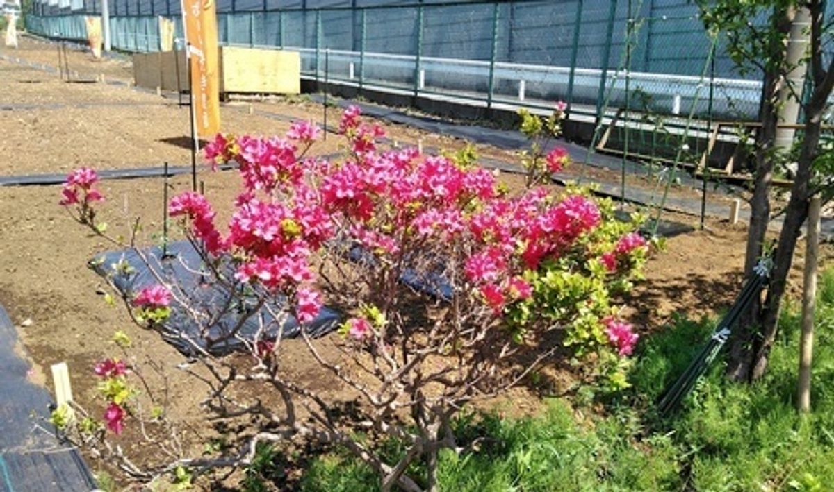 シェア畑 二俣川6