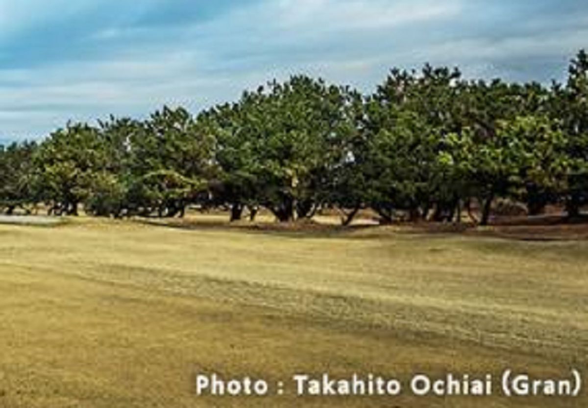 KIDS GOLF by GDO【ラウンドレッスン】 GDO茅ヶ崎ゴルフリンクス3