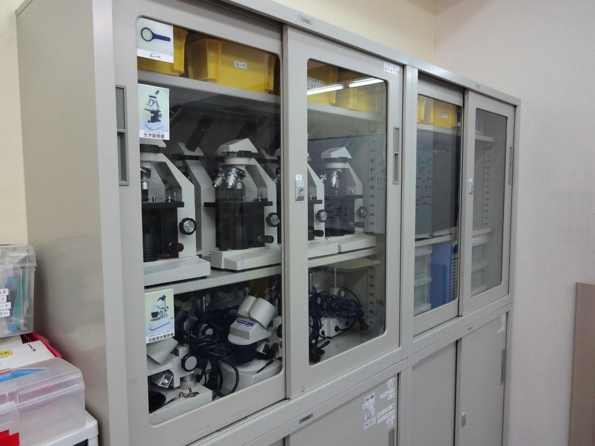 ベネッセサイエンス教室 上大岡教室12