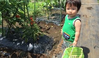 シェア畑 東有馬7