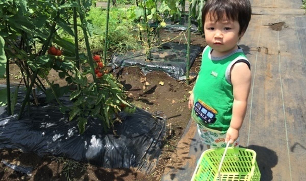 シェア畑 東有馬7