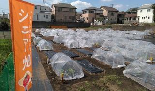 シェア畑 教室 1