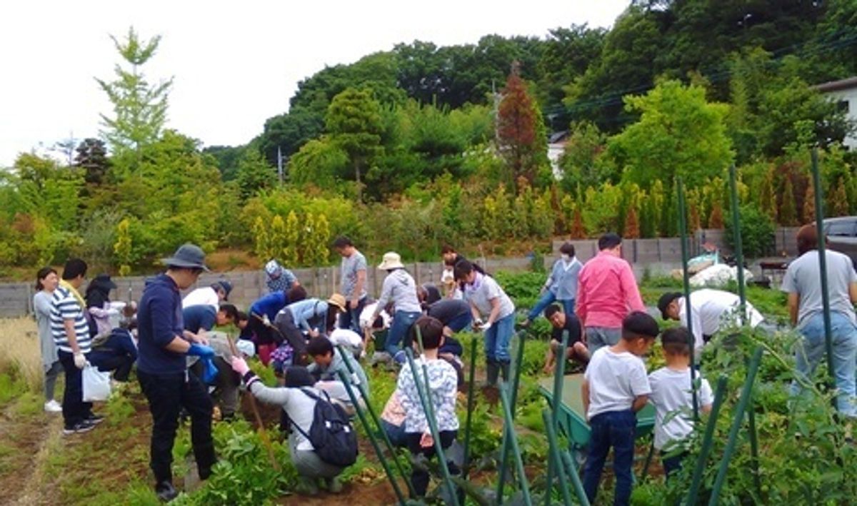 シェア畑 八王子3