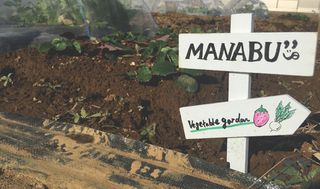 シェア畑 体験農園 教室 4