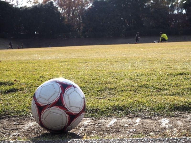 足立区の子供向け習い事教室28選