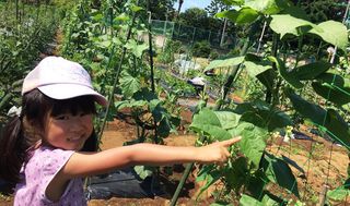 シェア畑 センター北6