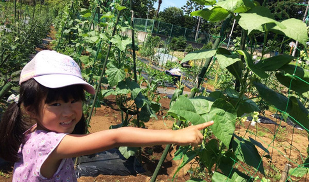 シェア畑 センター北6