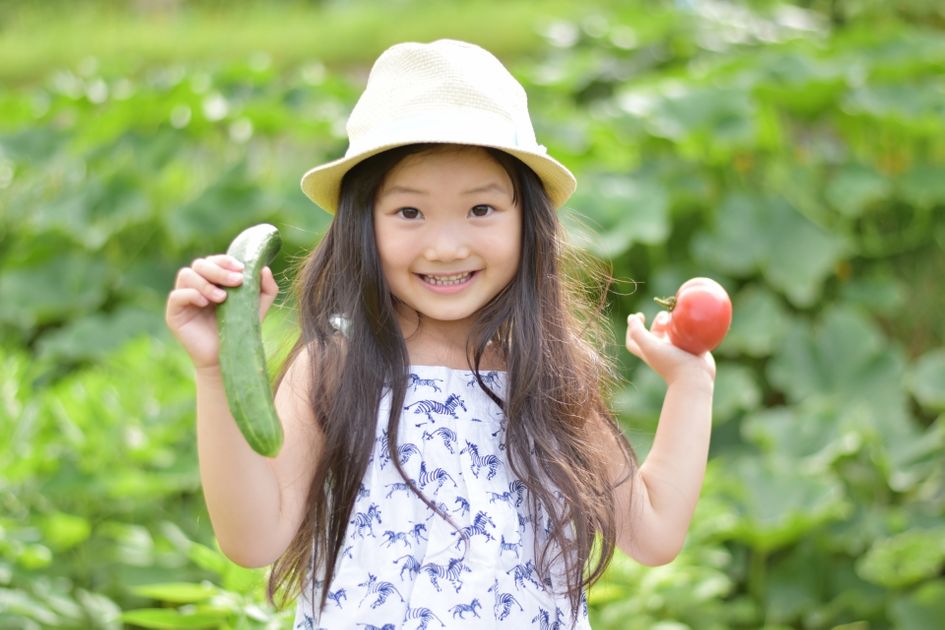 横浜市の子供向け習い事33選 子供の習い事の体験申込はコドモブースター