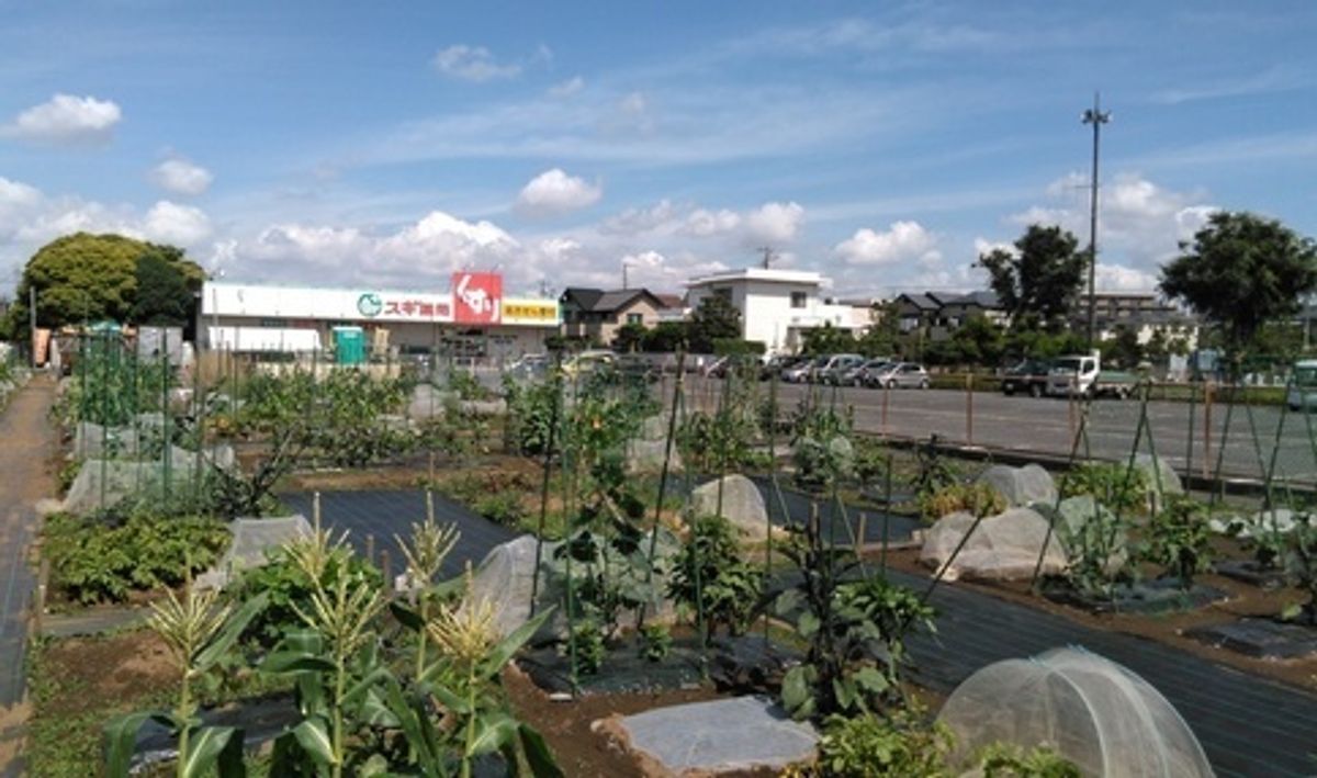 シェア畑 津田沼2