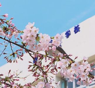 中萬学院のさなる個別@will 大口校の中学受験コース【対象学年】小1~小6