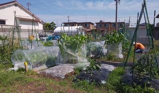 シェア畑 体験農園明石太寺体験ファーム 教室画像4