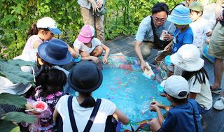 シェア畑 新百合ヶ丘11