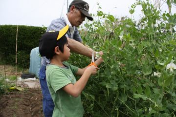 自由研究のおすすめテーマ10選!1人で簡単・高評価なのはこれ!