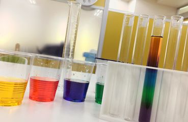 サイエンスα 月島校