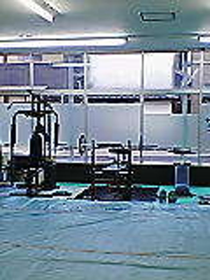 Grappler S Guild Gym グラップラーズギルド ジム 福岡県朝倉郡筑前町新町の子どもその他スポーツスクール 子供の習い事の体験申込はコドモブースター