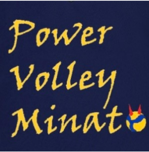 Power Volley Minato