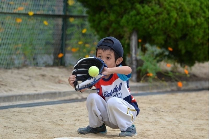 中野区の子供向け野球教室10選