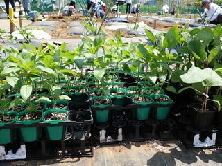 シェア畑 教室 2