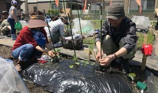 シェア畑 吹田岸部9