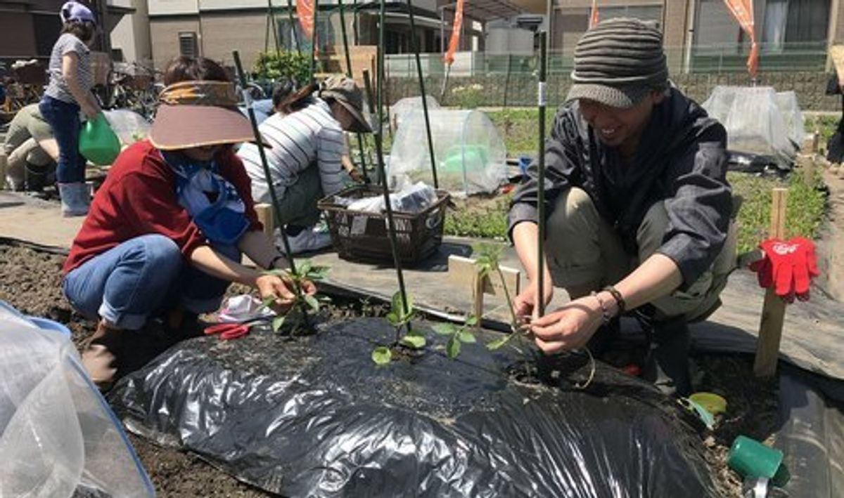 シェア畑 吹田岸部9