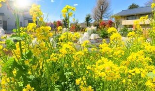 シェア畑 教室 2