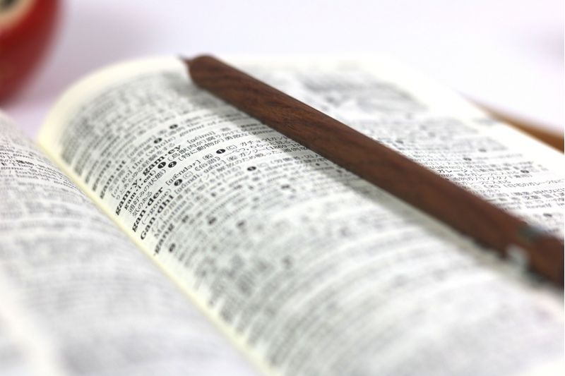 板橋区の幼児期から楽しく学べる英会話レッスン13選!高島平の教室も!