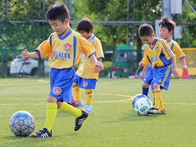 ベガルタ仙台 ジュニアサッカースクール 宮城野校の写真 口コミ 体験申込 子供の習い事口コミ検索サイト コドモブースター ベガルタ仙台 ジュニアサッカースクール 宮城野校の写真 口コミ 体験申込 子供の習い事口コミ検索サイト コドモブースター