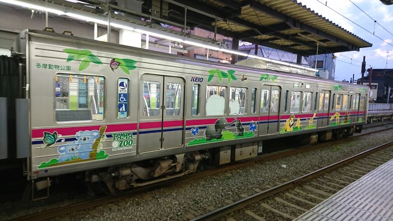 多摩動物公園駅周辺の子供英会話教室2選。コミュニケーション能力も!