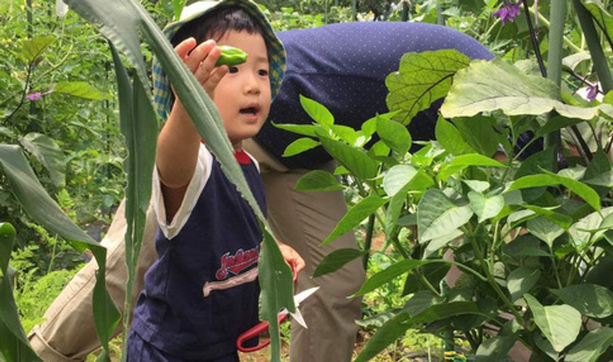 シェア畑 新百合ヶ丘7