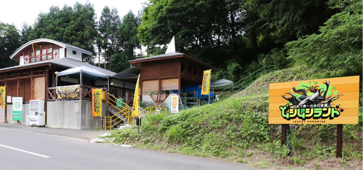 ムシムシランド【自然体験】 常葉町教室