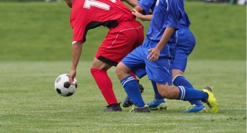 高尾山口駅周辺の子供の習い事2選。それぞれの進度に応じた指導を提供!