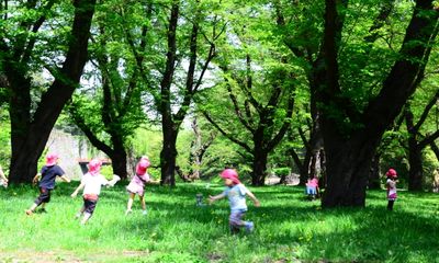 幼稚園と保育園の違いは?費用は?共働きはどっち?